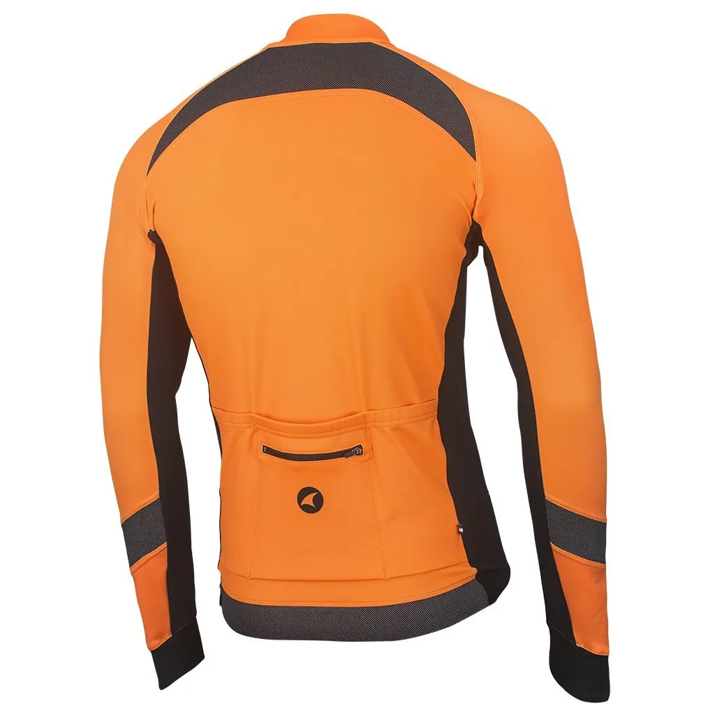 Alpine Thermal RT Jersey Men's